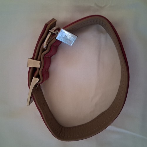 Hunde halsband und - hunde,