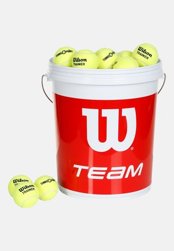 Wilson team trainer - wilson,