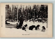 10141484 - Hundeschlitten mit Huskys Winter