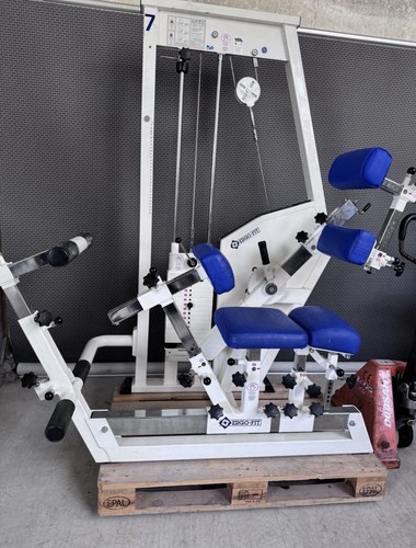 Ergo fit rückenstrecker - ergo-fit,