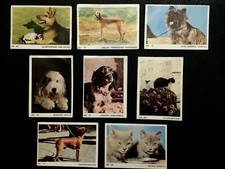 Americana Kaugummi München *