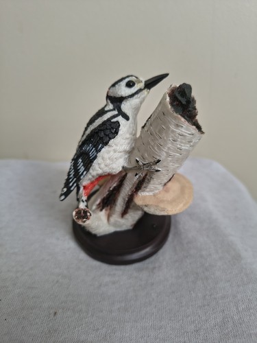 Eaglemoss vogelwelt der - vogelwelt,