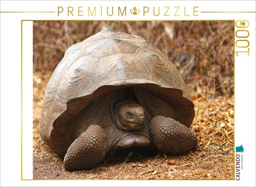 Calvendo puzzle - calvendo,