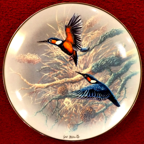 Sammelteller mit motiv - sammelteller,