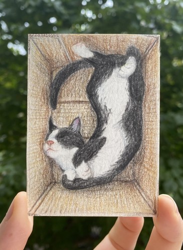 Aceo original cat box - original,