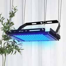 UV Gesichtsgerber