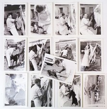 Foto Konvolut Schlachter Metzger Fleischer um 1960 Kalb Schlachtung