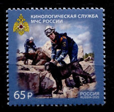 Hunde. Rettungshundestaffel in Rußland. 1W. Rußland 2023.