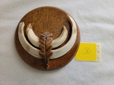 Keilerzähne, Keilerwaffen, Keiler, Wildscheinzähne, Wildschwein, Hauer - Nr. 9