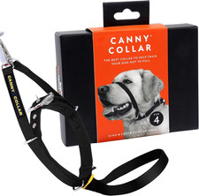 Canny collar hundehalfter - collar, –