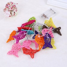 2,5-Meter-LED bunten Fisch