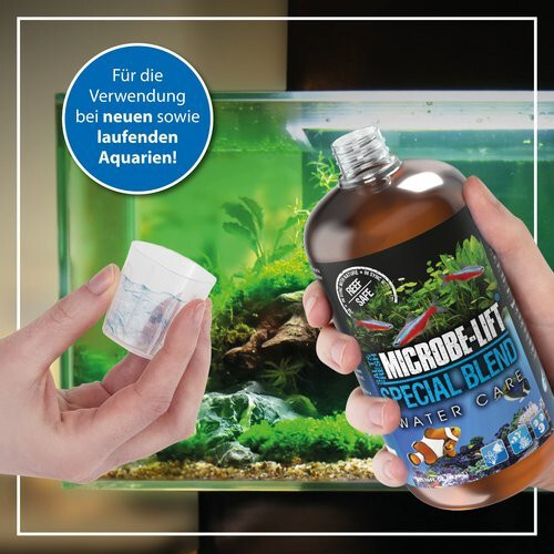 Aquarium wasserpflege - aquarium,