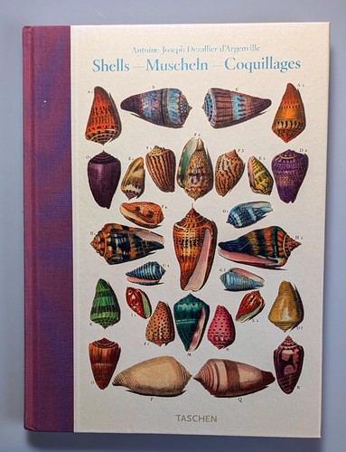 Argenville shells - d'argenville:,
