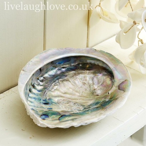 Abalone muschelschmuck - abalone,