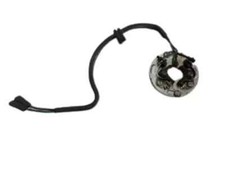 ORIGINAL DUCATI ZÜNDUNG STARTER KOMPLETT PIN PLATTE