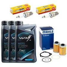 Inspektion Ölfilter Öl 3L