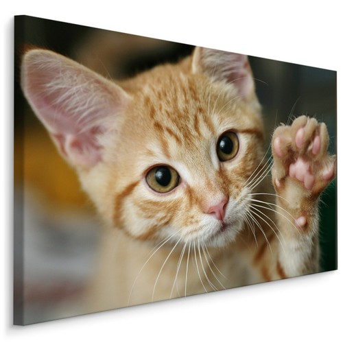 Canvas leinwand bilder xxl - canvas,