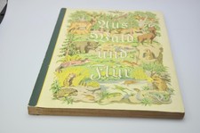 Aus Wald und Fauna Tiere