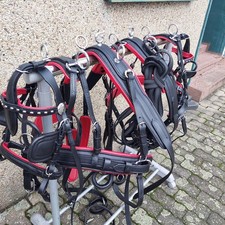 Top  Leder Zweispänner