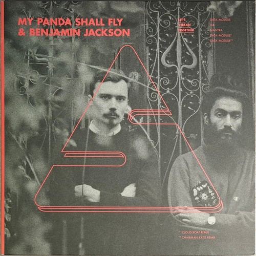 Panda shall fly - panda, benjamin