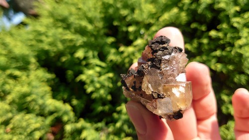 Kupferkies auf fluorit von - fluorit,