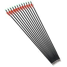 12x CarbonPfeile 31" Jagd  Turnier Pfeile Recurve - Compound bis 90 lbs 500er