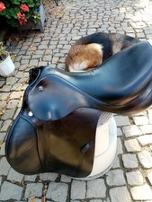 Springsattel Prestige Elastic Provesional Super Zustand!!!