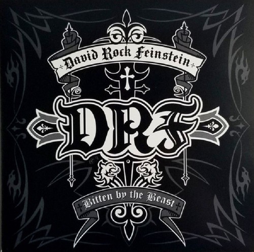 David rock feinstein - david,