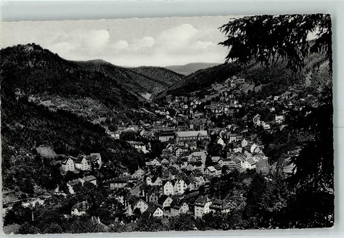 10336229 7230 schramberg - 10336229,