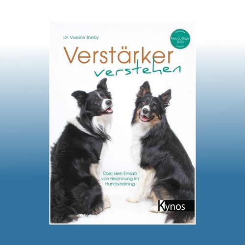 Verstärker verstehen dr - verstärker,