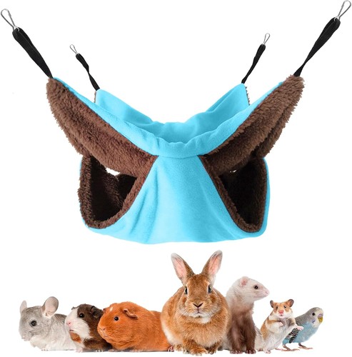 Meerschweinchen