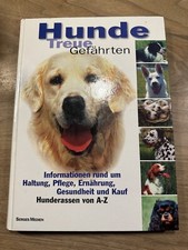 Hunde treue gefährten - treue,