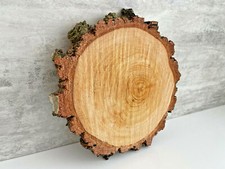 Baumscheibe birke vintage - baumscheibe,