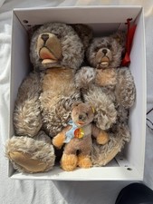Steiff Teddybären - 3 gut