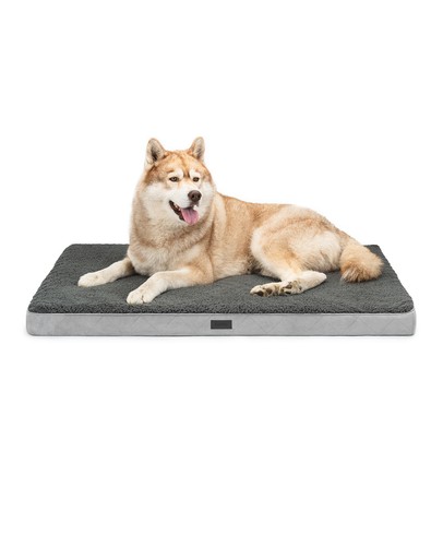 Ware lionto hundebett - lionto,