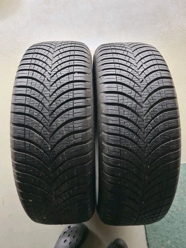 Goodyear vector seasons - 4,