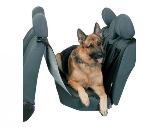 Top schutzdecke hund - schutzdecke,