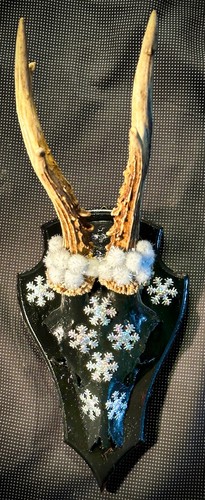 Geweih echt unikat schwarz mit - geweih,