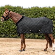 Waldhausen Schwarz 145 cm