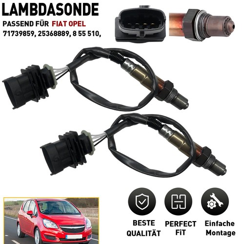Lambdasonde vor kat - lambdasonde,