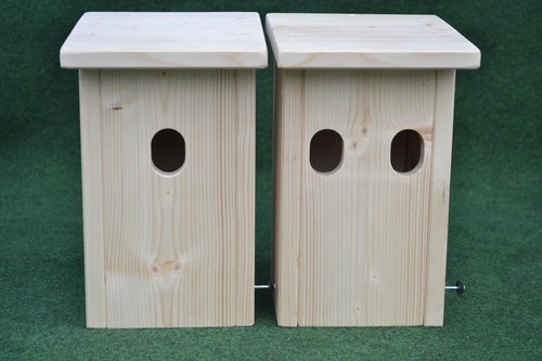 Nischenbrüterkasten