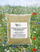 Blumenwiese mit Saathelfer ca