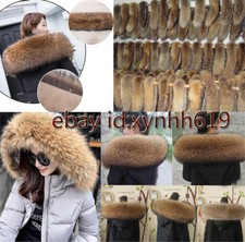 2025 Natur Waschbär Kragen