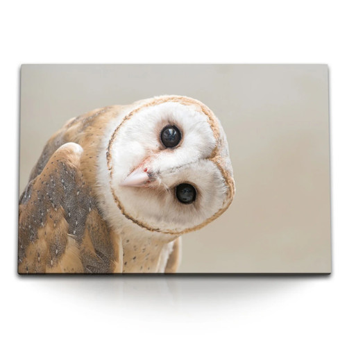 120x80cm wandbild auf leinwand - wandbild,