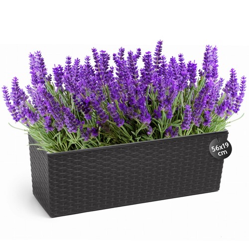 Blumenkasten rattan optik - in, rattan-optik