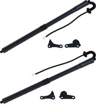 SET 2x GASFEDER HECKKLAPPE HUB