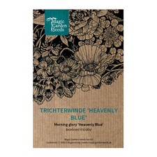 Trichterwinde heavenly blue - 'heavenly, blue'