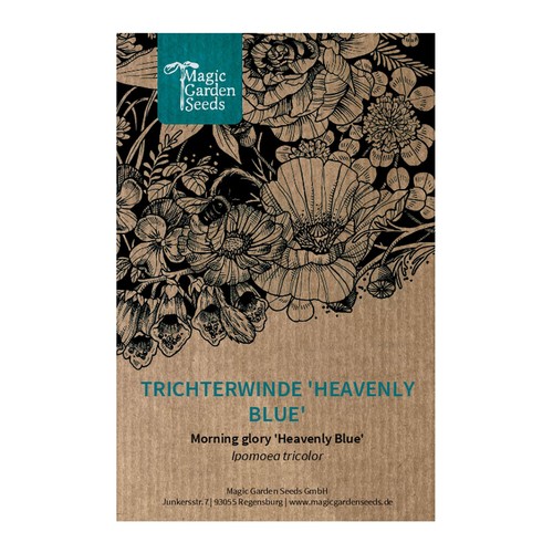 Trichterwinde heavenly blue - trichterwinde, 'heavenly