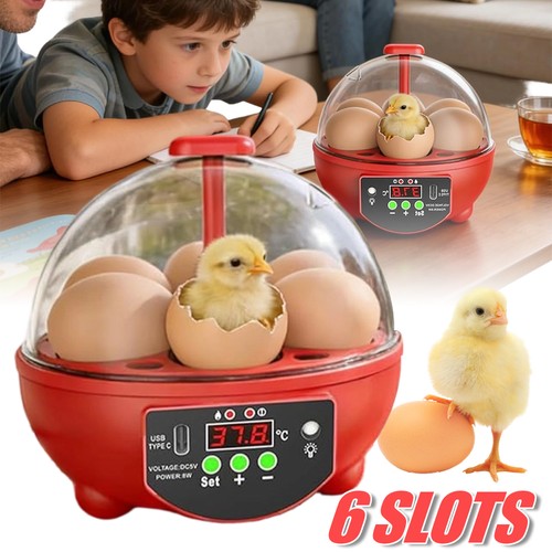 Eierbrutkasten für eier - für, 6
