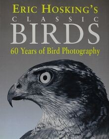 Eric hoskings birds - hoskings, years